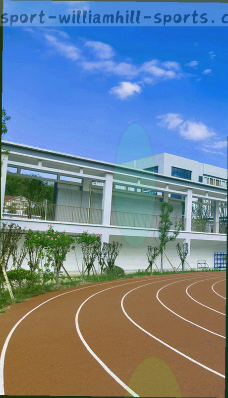 威廉体育APP版本更新日志界面示意图